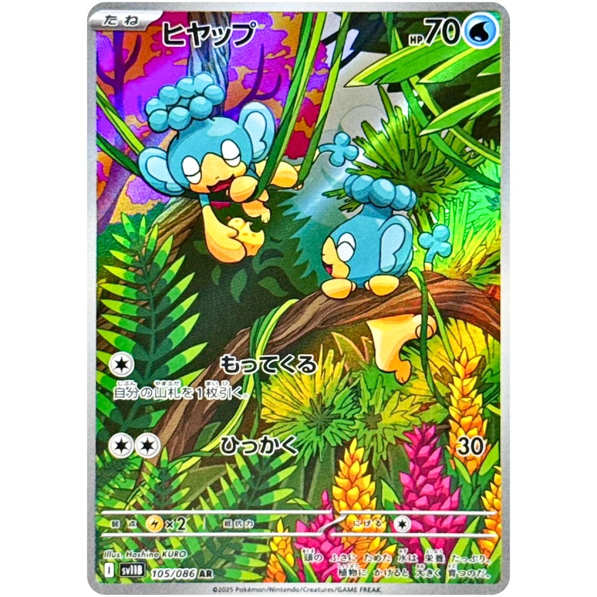 Panpour	{105/086} [SV11B]